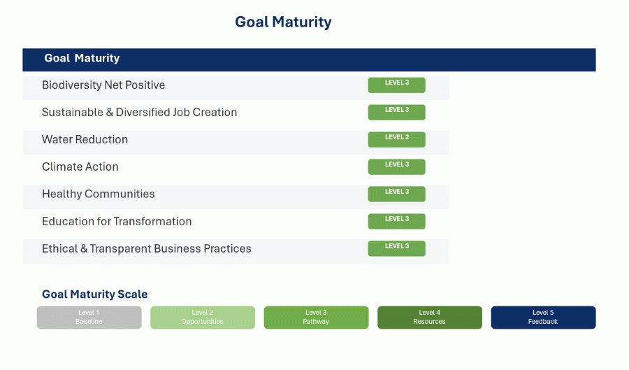 Goal maturity of Debswana’s seven ESG goals: Biodiversity Net Positive level 3, Sustainable and Diversified Job Creation level 3, Water Reduction level 2, Climate Action level 3, Healthy Communities level 3, Education for Transformation level 3, Ethical and Transparent Business Practices level 3. Scale: level 1 baseline, level 2 opportunities, level 3 pathway, level 4 resources, level 5 feedback.